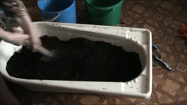 Как выжить во время эпидемии коронавируса смотреть онлайн