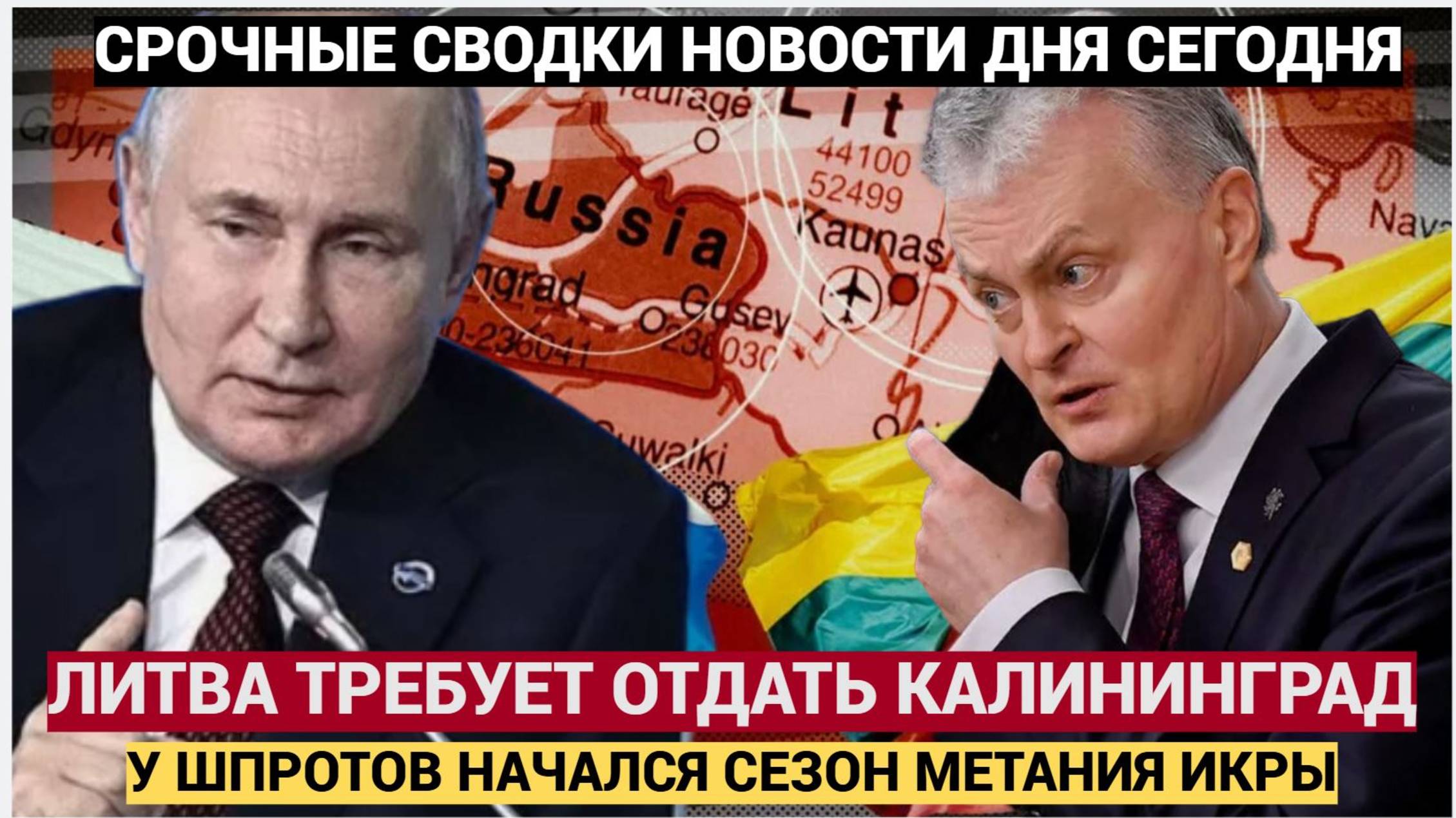 ТЫ МОЗГИ ПОТЕРЯЛ! В Литве отчитали президента Науседу за фантазии о «литовском» Калининграде