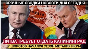 ТЫ МОЗГИ ПОТЕРЯЛ! В Литве отчитали президента Науседу за фантазии о «литовском» Калининграде