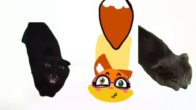 Шуша,Тимошка и я💖🐾🐾🐾