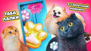 Секретная КОМНАТА с ТАБА ЛАПКАМИ | Питомцы НАШЛИ ЕЕ