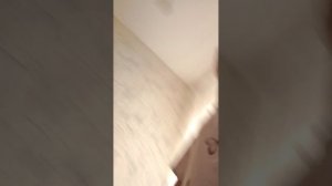сомик