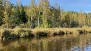 Осень с ветром танцевала