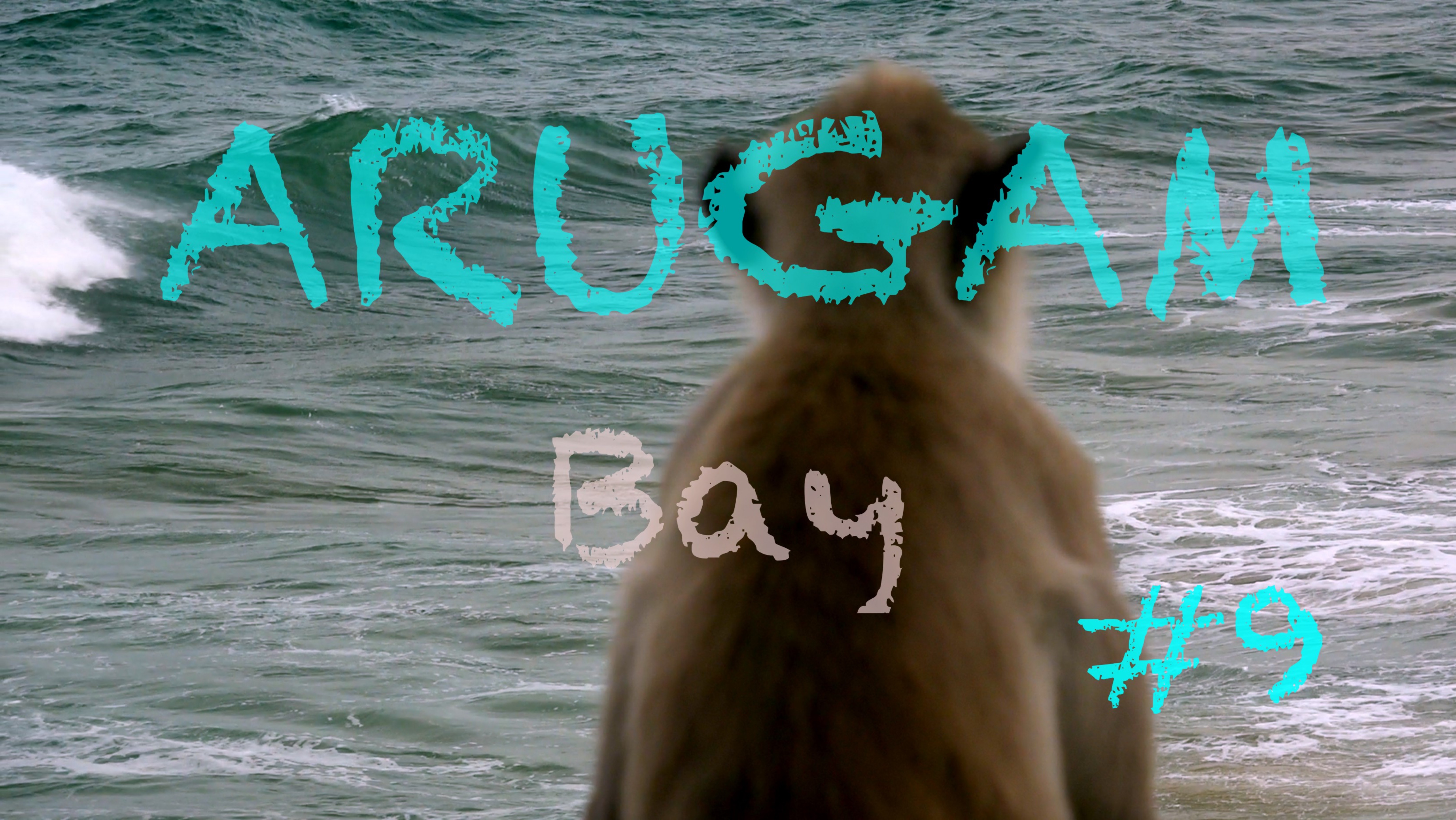 Шри-Ланка 🇱🇰 Аругам бей 🌴