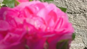 2 минуты на весну и лето