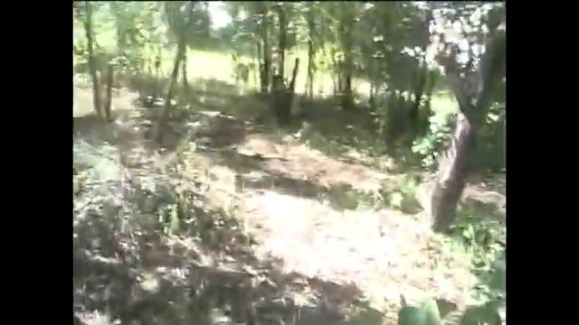 КУПИЛИ САД ВЫКОРЧЕВЫВАЕМ ДЕРЕВЬЯ смотреть онлайн