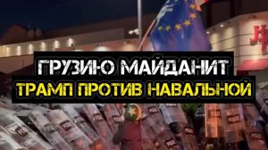 ТАМИР ШЕЙХ / АНДРЕЙ ПОНОМАРЬ. ГРУЗИЮ МАЙДАНИТ. К ЭТОМУ НУЖНО ГОТОВИТЬСЯ. Трамп против Навальной.