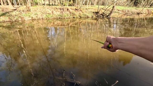 Микрофишинг на Микро-речке. Рыбалка на тесто. смотреть онлайн