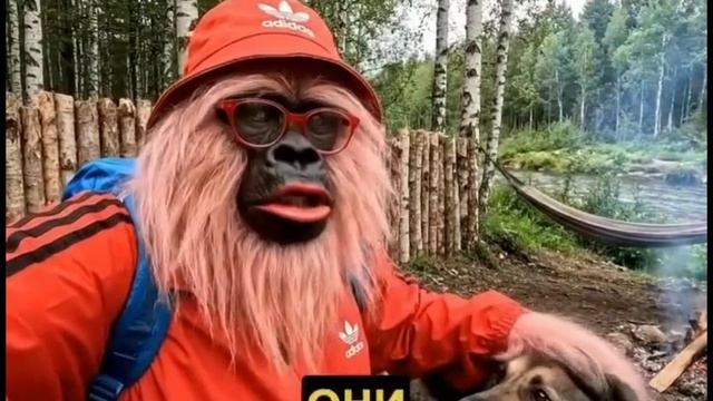 Леха Лесной (15-20 серия)