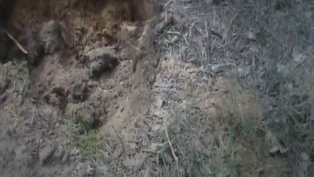 В ПОИСКАХ ТАНКА И ПРЕДМЕТОВ ВОЙНЫ #9 смотреть онлайн