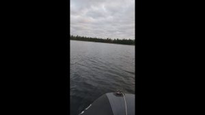 Вылазка на Вырвино.