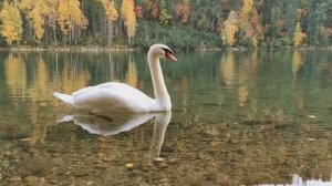 Теплые озера 2025