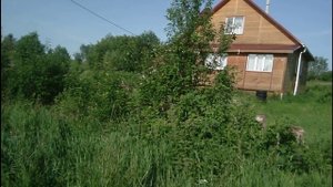 Лето в деревне,коп возле дома