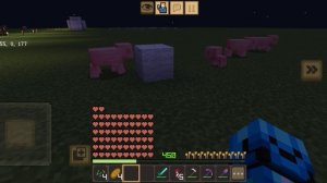 город с новым подписчиком