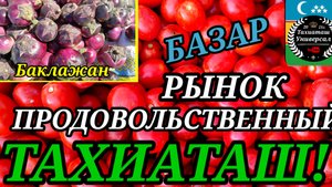 06-10-2025 БАЗАР продовольствии