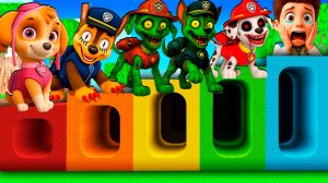 ВЫЖИВАНИЕ ВНУТРИ РАДУЖНЫЙ ТОННЕЛЬ ЩЕНЯЧИЙ ПАТРУЛЬ СКАЙ ЕХЕ РАЙДЕР В МАЙНКРАФТ МУЛЬТИК