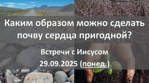 Каким образом можно сделать почву сердца пригодной. 29.09.2025. А.Федорищев понедельник.