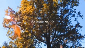 золотая осень