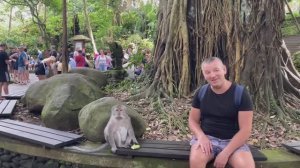 ЛЕС ОБЕЗЬЯН в УБУДЕ на о.БАЛИ в ИНДОНЕЗИИ.ДИКИЕ ОБЕЗЬЯНЫ РЯДОМ С ЛЮДЬМИ.КАК ОНИ СЕБЯ ВЕДУТ?КОРМИМ ИХ