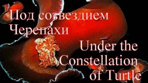 Под созвездием Черепахи. Сентябрьское сафари 2025.