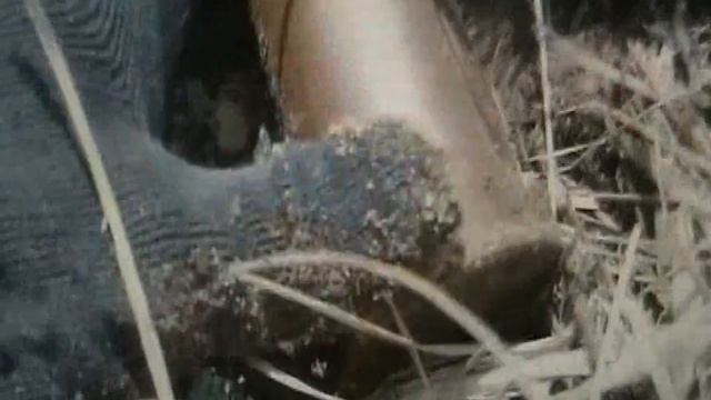 В ПОИСКАХ ТАНКА И ПРЕДМЕТОВ ВОЙНЫ #5 смотреть онлайн