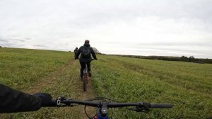 400 летняя сосна