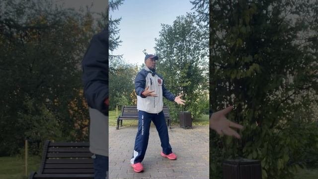 Ицюань (1516 день) Ченбао и Хуньюань Чжуан / Три базовые Шили / Комплексы Цигун / Кёкусин (5.10.25)