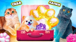 ЗЛАЯ НЯНЯ Выкинула ВСЕ ТАБА ЛАПКИ, НО у НАС ЕСТЬ АВТОМАТ с ТАБА ЛАПКАМИ | ПОПАЛИ в ДЕТСКИЙ САД