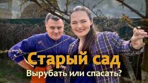 Ошибки, из-за которых деревья болеют и не плодоносят — вот что нужно делать осенью!