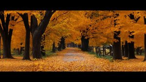 Паганини - Каприз 24