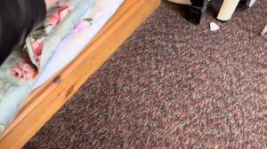 244. Шикарный антикварный магазин, хочу все, а затем покупки в польском.