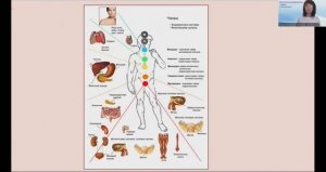 Давайте, знакомиться!