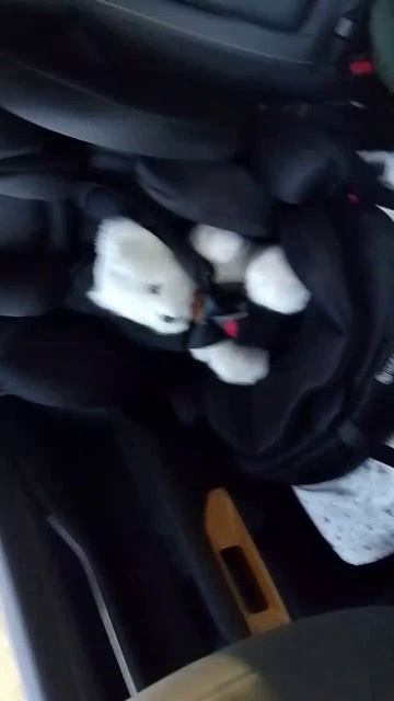 Пассажир смотреть онлайн