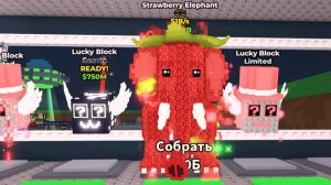 ПОЛУЧИЛ клубничного слона🤑 в взломанной версии укради браинрот!!!