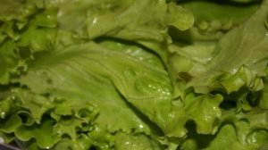 Лаваш с тунцом