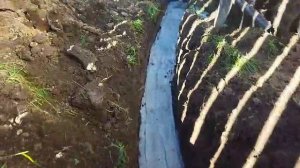 Дренаж от скептика, водоотведениетот от септтка, как положено!!! Не в канаву всем под нос!!