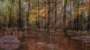 Золотая осень 🍂 Прекрасная природа и душевная музыка