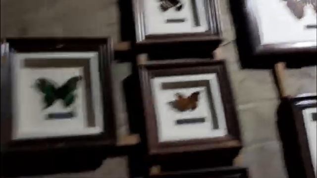 поход в зоопарк смотреть онлайн