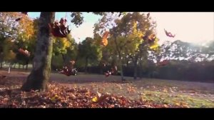 Лирическая песня под гитару  "Осень"