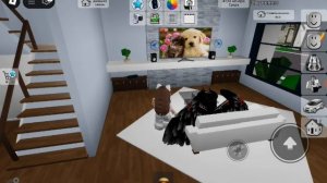 Я играю в роблоксе в Брук heaven