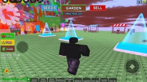 вырасти сад вечерня