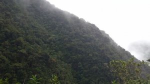 "Дорога Смерти"