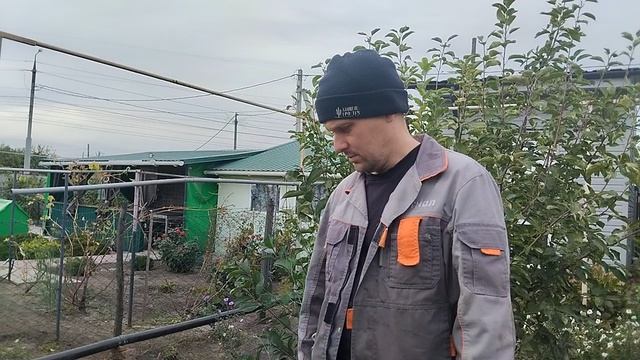Посадка озимого чеснока. 5 октября 2025