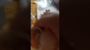 VID_20251004_121436.mp4