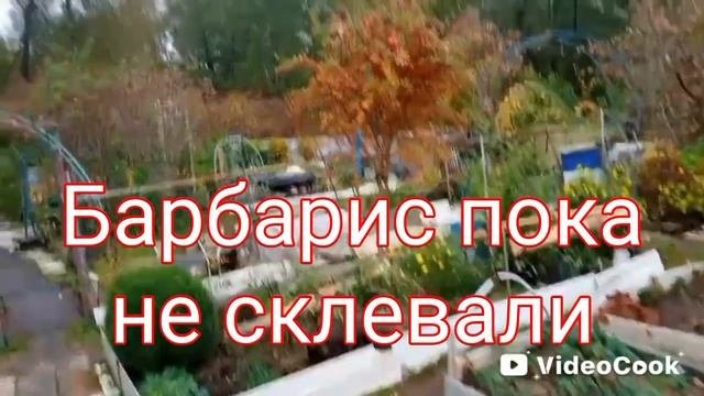 Осенние мотивы