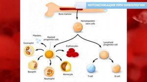 Аппарат Импловит, «Катушка Мишина». Интоксикация при онкологии