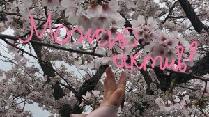 Обзор 💫на 2 по счёту Машин игровой уголок 👧🏼🫶🏼