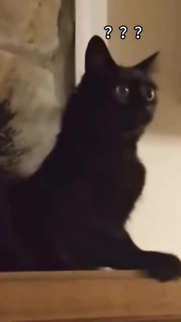 На грани тыгыдыка