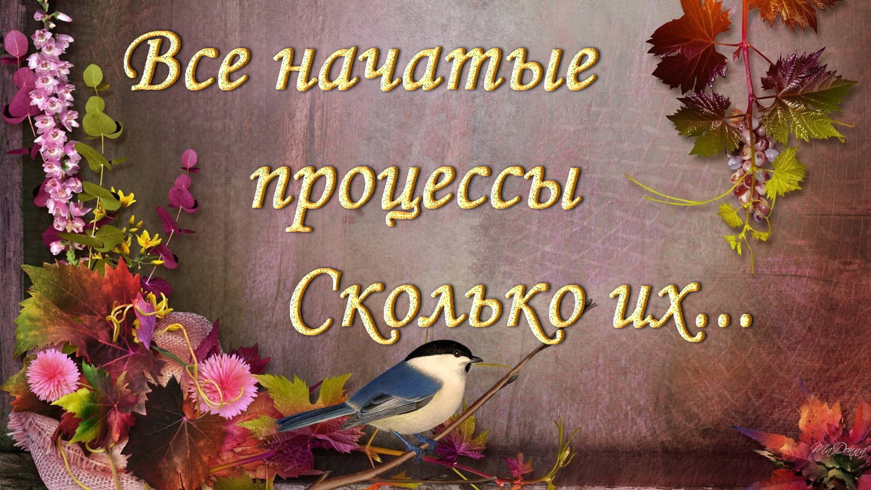 Все мои начатые процессы/ Посмотрим?/Вышивка бисером