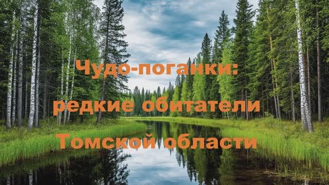 Видеопрезентация 